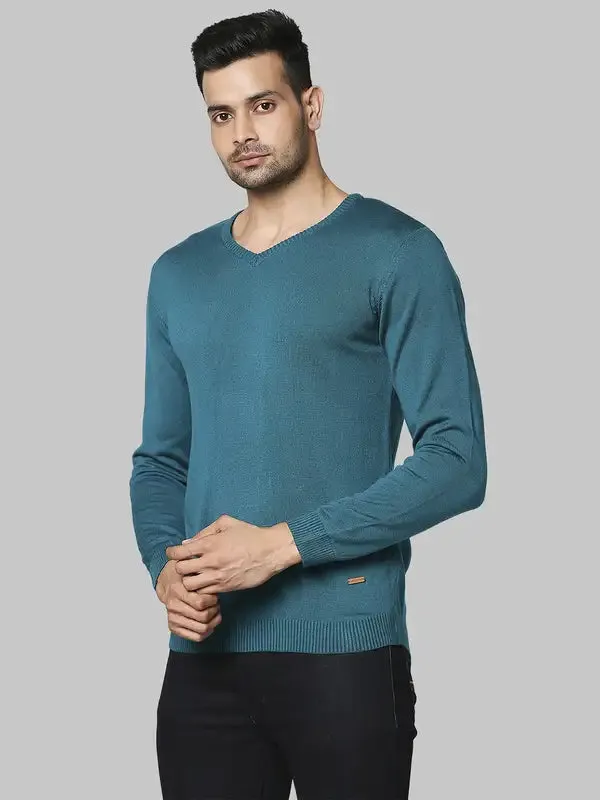 Men Green Regular Fit Solid Acrylic Full Sleeve V Neck Collar Sweaters
